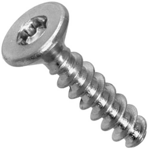 Шуруп WS 9162 нержавіючий А2 TORX