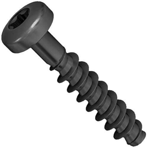 Шуруп WS 9160 (Аrt.9050) без покриття TORX