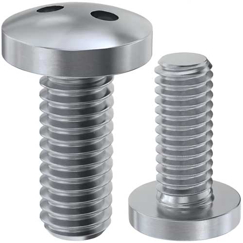 Art.9101 Гвинт антивандальний з напівкруглою головкою і двома отворами A2