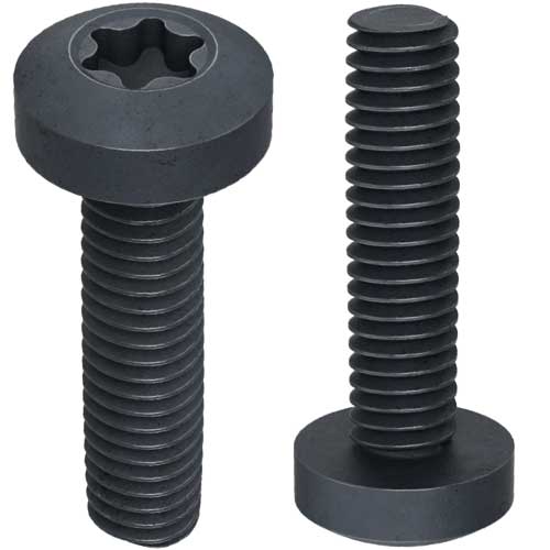 Din 7500 С Дюймовий гвинт без покриття TORX