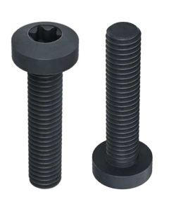 Гвинт DIN7985 М6х25 TORX кл.8.8 оц. чорн.ввід + плав шайба
