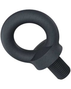 Рим болт DIN580 М20