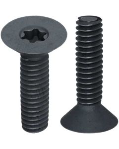 Гвинт DIN7500М  М5х25  TORX