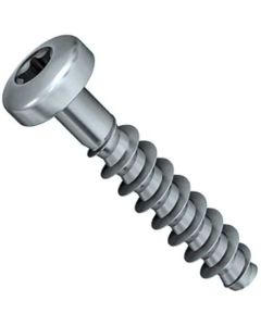 Шуруп DIN9160 (Аrt.9091)  М4.5х40 оц. ТХ