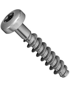 Шуруп DIN9160  (Аrt.9091)  М5х25 TORX А2