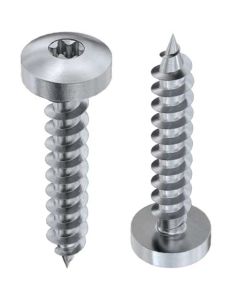 Шуруп DIN9110 (Аrt.9048)  М6х50 TORX А2