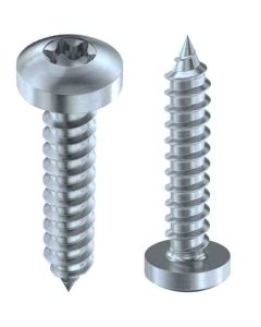 Саморіз DIN7981 М2.2х13 оц.TORX