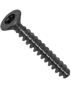 Шуруп DIN9162 (Аrt.9090)  М4х10 TORX