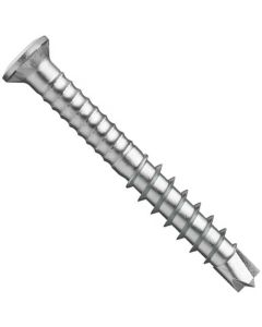 Шуруп терасний WS9800/Аrt.9043 М5.5х50 А4-70