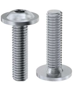 Гвинт ISO7380-2  М4х5 А2 TORX