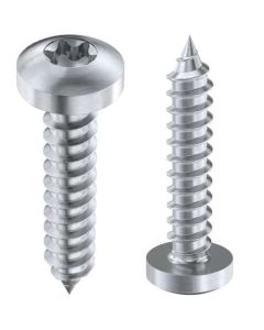Self-tapping screw WS9477 DIN7981+TORX M5.5x65 A2