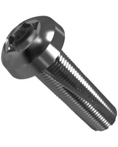Гвинт DIN7516А М5х12 TORX з насічками