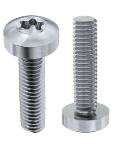 Гвинт DIN7500С М5х25 А2 TORX