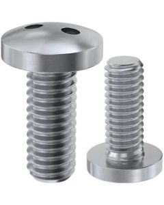 Гвинт антивандальний Аrt.9101 М6х10 А2