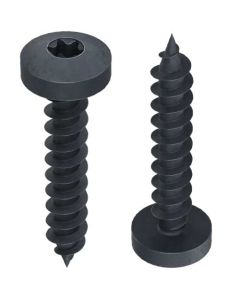 Шуруп DIN9110 (Аrt.9048)  М5х16 TORX  dk=15