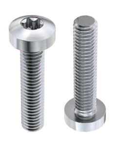 Гвинт DIN7985 М5х60  А2 TORX