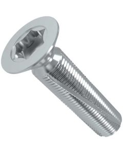 Гвинт DIN7516D М6х16 оц.TORX