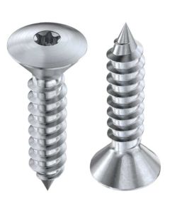 Саморіз  WS9479 DIN7983+TORX М5.5х38 А4-70