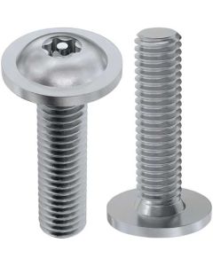 Гвинт антивандальний ISO7380-2+TORX+PIN М6х25 А2