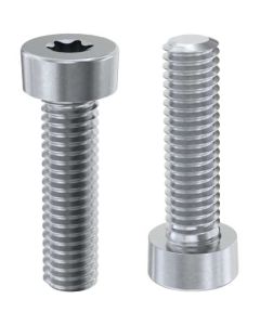 Гвинт DIN7984 М3х5 нікель TORX