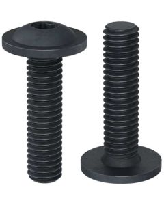 Гвинт ISO7380-2 М6х55 кл.10.9 TORX