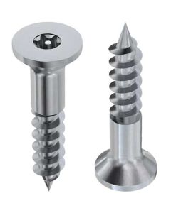Шуруп DIN9105 (Аrt.9050) М4.5х60 А2 TORX+PIN