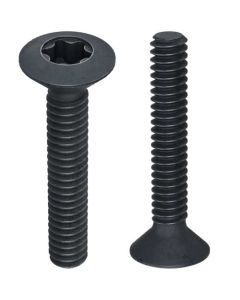 Гвинт DIN966 М4х20 TORX