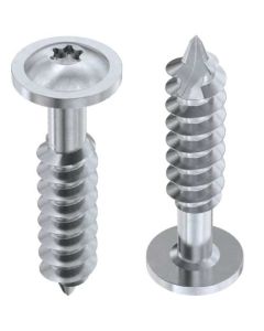 Шуруп DIN9110 (Аrt.9048)  М8х40 TORX А2+пресшайба