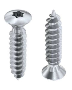 Шуруп DIN9120 (Аrt.9049)  М4.5х40 TORX А2