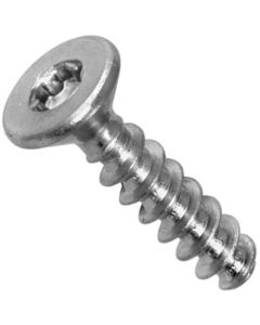 Шуруп WS9162 М3х8 А2 TX