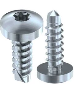 Саморіз DIN7504N М3.9х13 оц. TORX