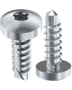 Саморіз WS9166 DIN7504N+TORX М3.5х19 А2