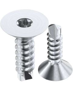 Саморіз  WS9167 DIN7504Р+TORX М3.9х16 А2